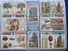 Trade cards, over 550 cards, Plant, Tree & Flower related. Many Continental issues. Large number