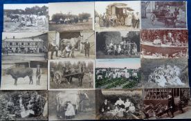 Postcards, Rural Social History, good mainly RP selection, inc. Harvesting, Horses, Cattle, Fox