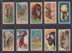 Trade cards, USA, John Dockman & Son Menagerie Gum, Animal Cards 21/27 missing Lion, Bear, Tiger,