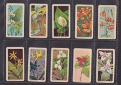 Trade cards, Brooke Bond (USA), Wild Flowers of North America (Dark Blue) (set, 48 cards) (gd)