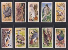 Trade cards, Brooke Bond Rhodesia issue, African Birds (set 50 cards) red backs (vg)