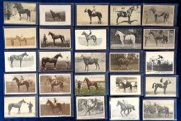Postcards, Famous Horses, 35 cards, RPs and printed showing important horses of the day to include