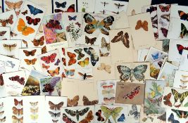 Postcards, Butterflies, Moths etc, 250+ cards to include embossed, hand embellished, Tuck's