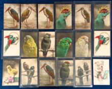 Postcards, Novelty, Glass Eyes, 100+ cards featuring parrots and other birds, cats, dogs, dolls,
