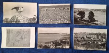 Postcards, Scilly Isles / Lundy Isle, 14 cards, Scilly Isles (13 including 3 postally used from St