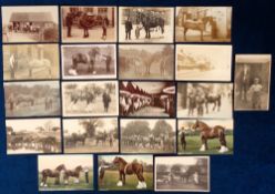 Postcards, Working Horses, 20 cards featuring mares and foals, prize winners, heavy horses ready for
