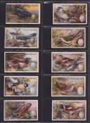 Cigarette cards, Gallaher, Birds Nests & Eggs (set, 100 cards) (some with slight marks, gen. gd)