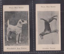 Trade cards, Barratt Prize Dog series, 2 cards, Wire Haired Fox Terrier (corner crease & small