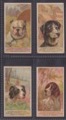 Cigarette cards, USA, H. Ellis & Co, Dogs (Tiger Cigarettes, caption back only), four cards, Bull