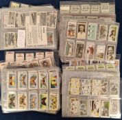 Trade & Cigarette cards, Large mixture of cards in sleeves and some loose, mostly in part sets and