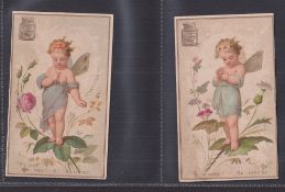 Trade cards, Liebig, S52 The Flower Oracle (Grey Background) (set 5 cards plus variation card), 4