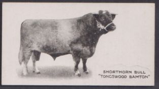 Cigarette card, Taddy, Famous Horses & Cattle, type card, no 17, Shorthorn Bull, 'Tongswood