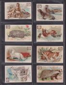 Trade cards, USA, Church & Dwight, Interesting Animals, 'M' size (set, 60 cards) (one with slight