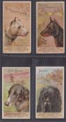 Cigarette cards, USA, H. Ellis & Co, Dogs (Tiger Cigarettes, caption front & back), four cards, Bull