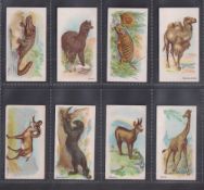 Cigarette cards, Japan, Murai Bros., Wild Animals of the World, eight cards, Alligator, Alpaca,