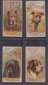 Cigarette cards, USA, H. Ellis & Co, Dogs (Triplex Cigarettes, caption front & back), four cards,