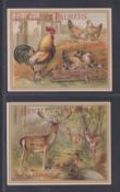Trade cards, Huntley & Palmer Animals & Birds HH95 red backs 10/12 (missing Rabbits, Horse &