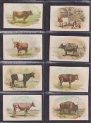 Trade cards, USA, Church & Dwight, Dairy Animals, 'M' size (set, 30 cards) (gen. gd)