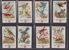 Trade cards, USA, Church & Dwight, Bird Cards, 'M' size (set, 60 cards) (all with light toning to