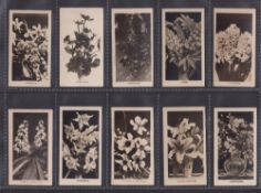 Cigarette cards, J Sinclair, Flowers & Plants (numbered) (set 96 cards) (10 cards with staining or