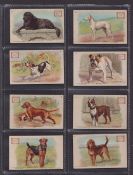 Trade cards, USA, Church & Dwight, Champion Dogs, 'M' size (set, 30 cards) (one with rubber stamp to