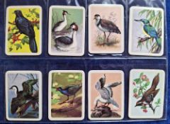 Trade cards, Tuckfield Tea (Australia) Birds, complete run of cards from 1-384 (gen gd/vg)