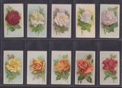 Cigarette cards, Wills overseas, Purple Mountain Brand, Roses (without Wills on fronts) (set 25