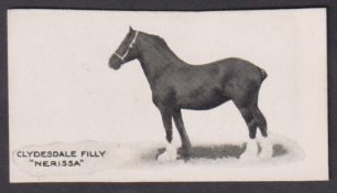 Cigarette card, Taddy, Famous Horses & Cattle, type card, no 15, Clydesdale Filly, 'Nerissa' (vg) (