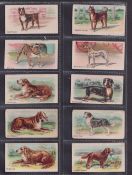 Trade cards, USA, Philadelphia Caramel Co, Dogs (set, 31 cards) (one with marked checklist to