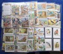 Trade cards, 19 sets all Bird related mostly Continental issues, issuers include Aecht Franck,
