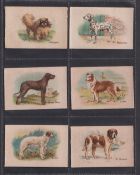 Tobacco silks, BAT (Anon), Best Dogs of Their Breed, 'L' size (set, 50 silks) (gd)