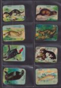 Trade cards, Italy, Chocolat Tobler, Animals & Birds, a collection of 94 'M' size cards (gen..