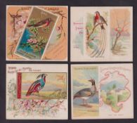 Cigarette cards, USA, Allen & Ginter, four 'X' size type cards, Birds of America (1, Robin), Birds