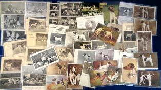 Postcards, Dogs, a collection of approx. 50 cards all relating to Smooth Haired Terriers, mostly