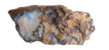 Ungewöhnlich großer Opal-Rohstein, umlaufend mit Opaladern durchzogener Matrix ...