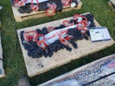 Land Honor G80 Chain Slings 'NEW'