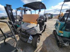 2024 RC Car RCG2.0 Golf Cart 'NEW'