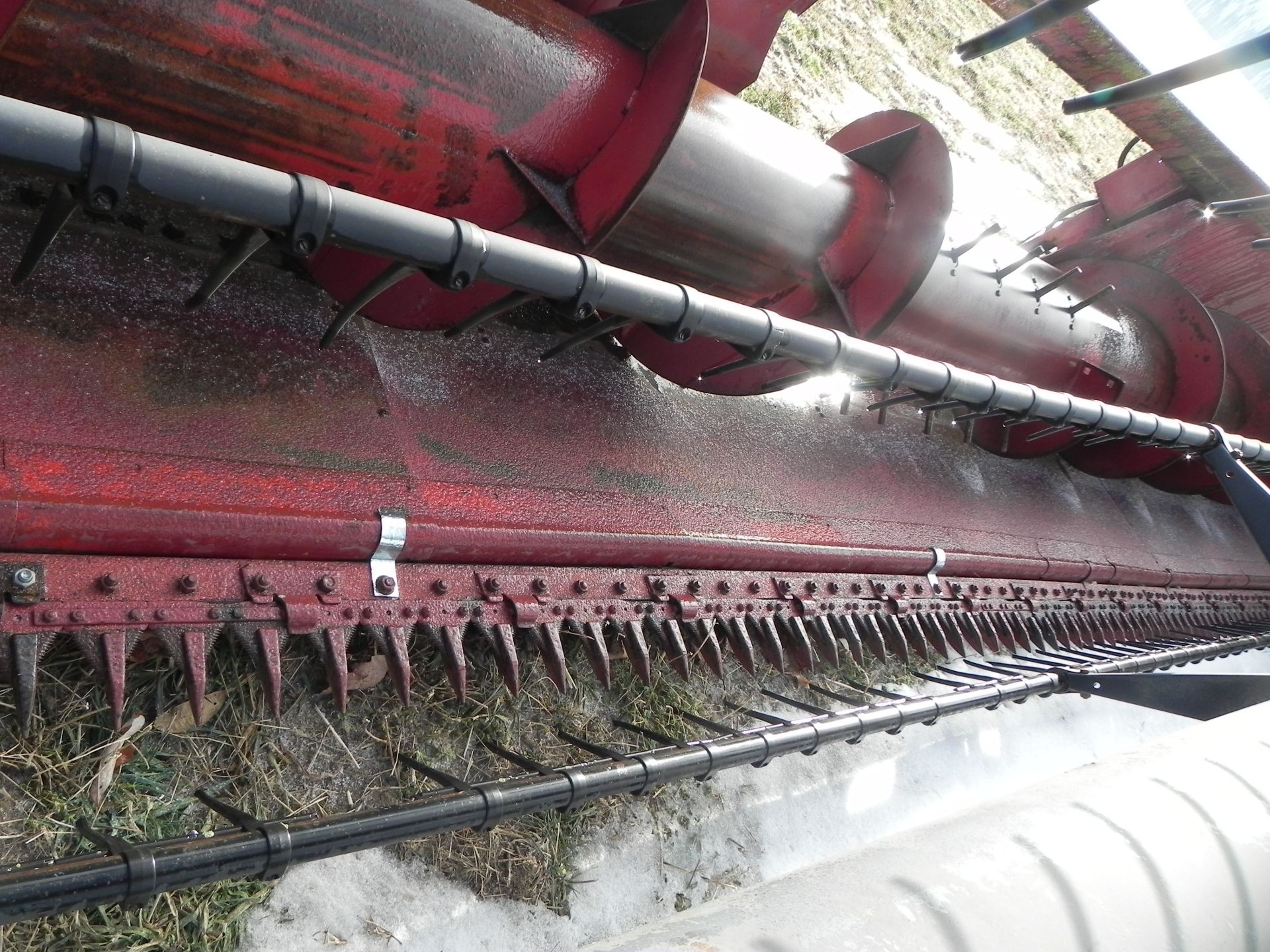 Case IH 1020 Flex Head - Image 3 of 14