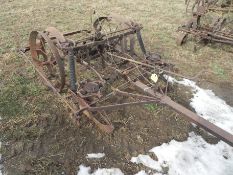 International Corn Planter