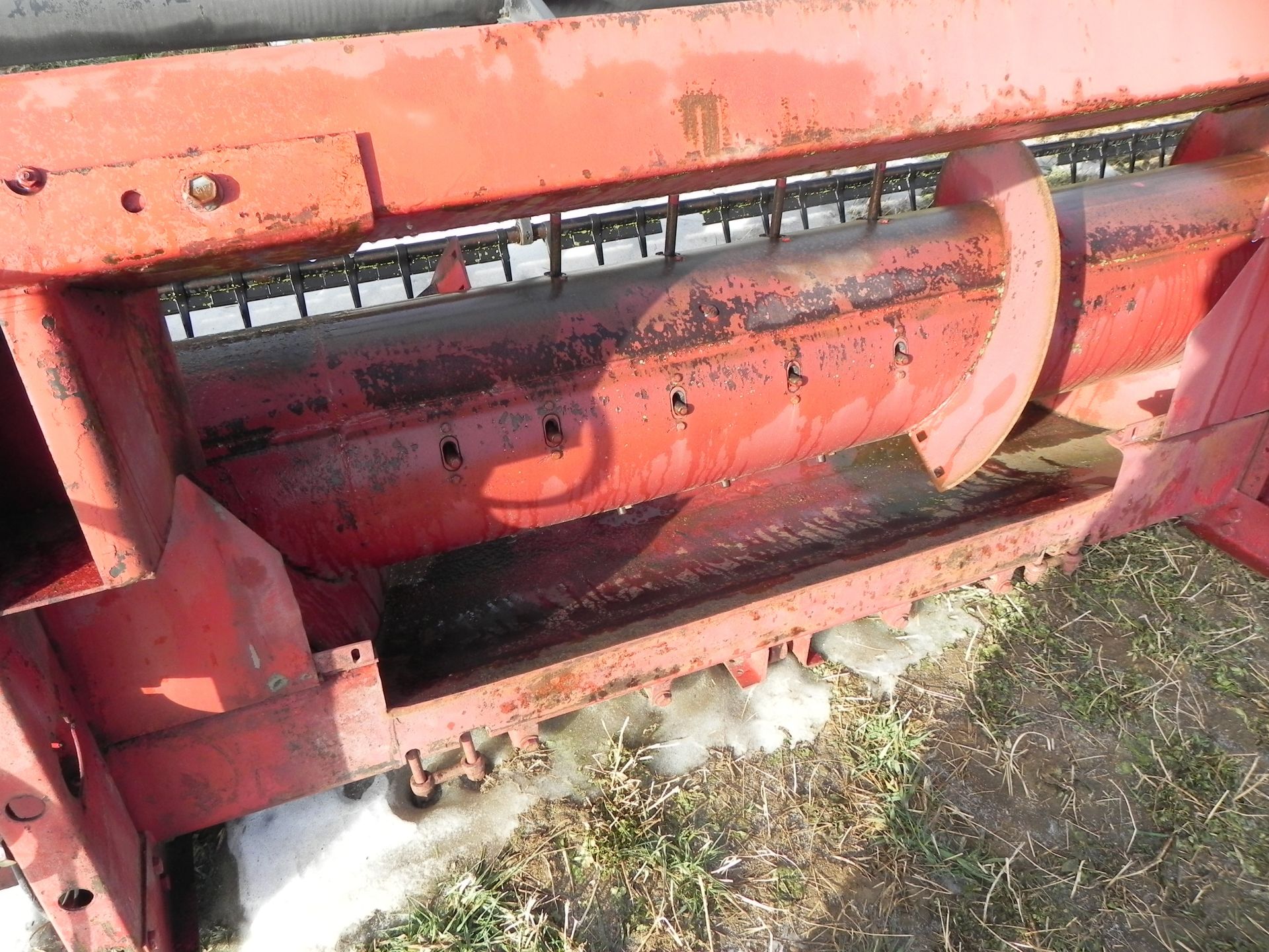 Case IH 1020 Flex Head - Image 11 of 14