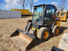 JCB 260 Skid Steer 'Ride & Drive'