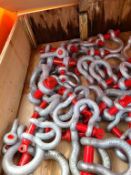 Shackles 'NEW'