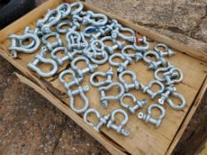 Shackles 'New'
