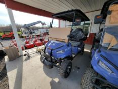 2024 Mach Pro RC-G4.0 Golf Cart 'NEW'