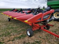 2013 Geringhoff NS 800 / F Corn Head