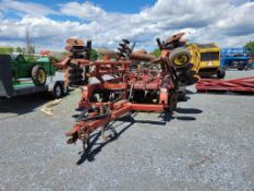 Sunflower 1434-21 Disc