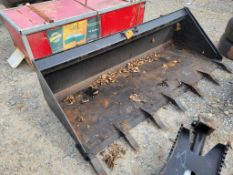 WildKat Tooth Bucket