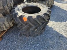 Pirelli TM700 Tires 'Pair of 2'