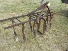 Cultivator