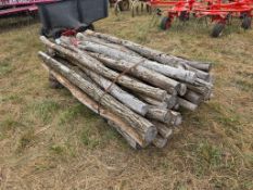 Locust Posts